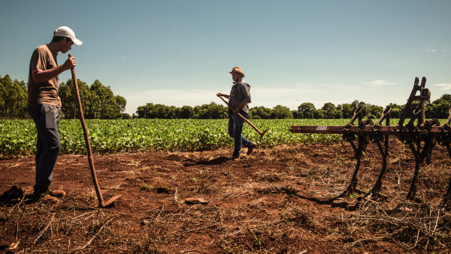 Moyamba and Pujehun Districts score joint UNDP, WFP-supported project 80% for Peacebuilding Project’s Success amidst COVID-19 #9 #3